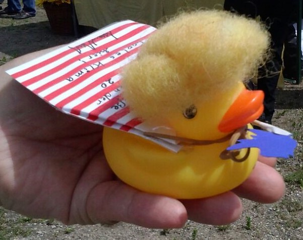 Ente_Donald